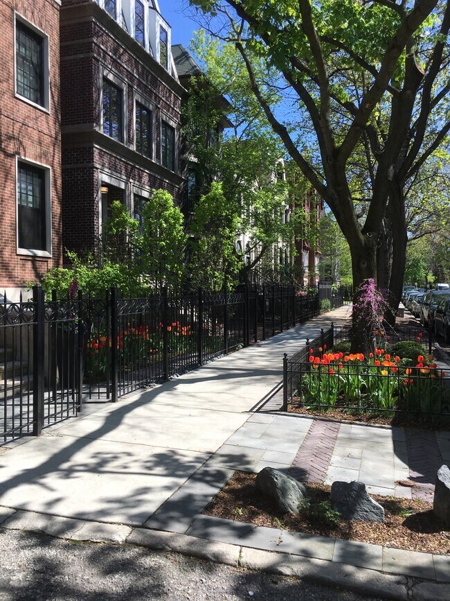 Calle Premier Lincoln Park - 2149 N Dayton St