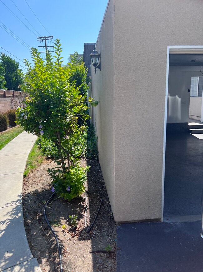 Walkways throughout - 19201 Haynes St