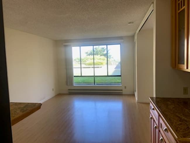 Building Photo - Studio Condo Available!