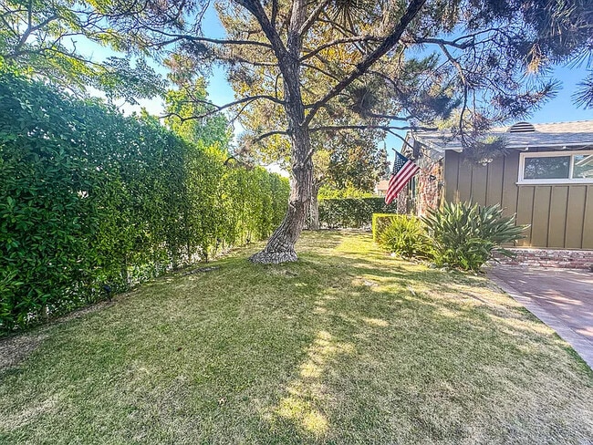 Front Yard Ficus Privacy Hedge - 5714 Simpson Ave