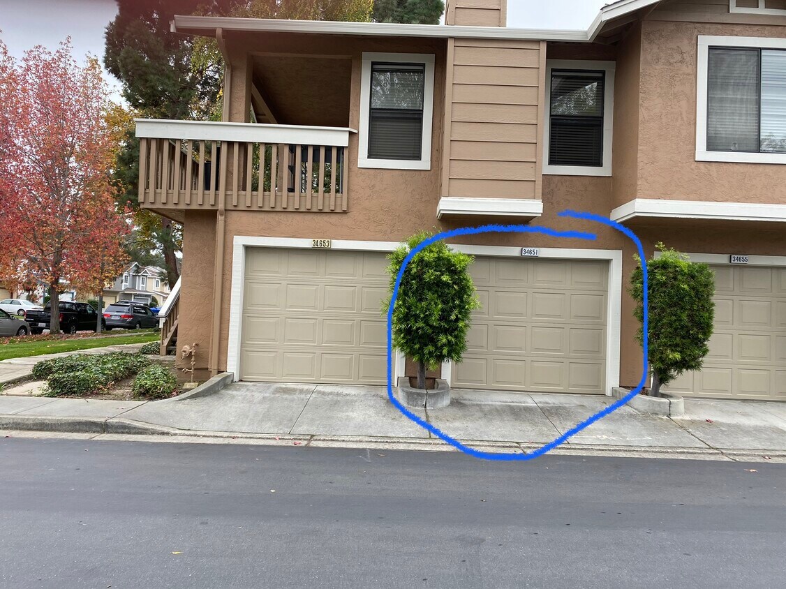 34651 Pueblo Ter Unit None, Fremont, CA 94555 Condo for Rent in
