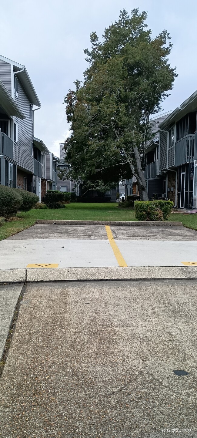 Parking space example - 54 Avant Garde Cir