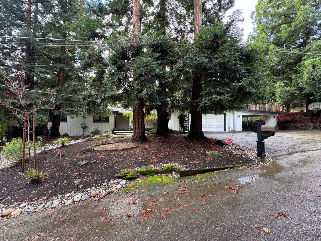 Primary Photo - Gorgeous Single Level Home with Pool in Al...