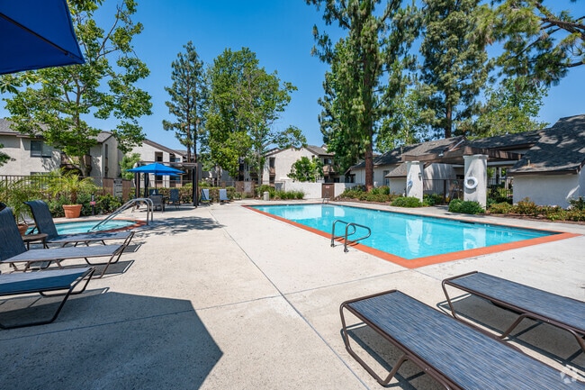 Refreshing Swimming Pool - Mountain View Apartment Homes