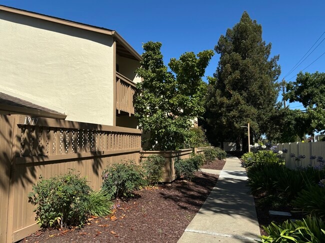 Building Photo - 1975 Olmo Way