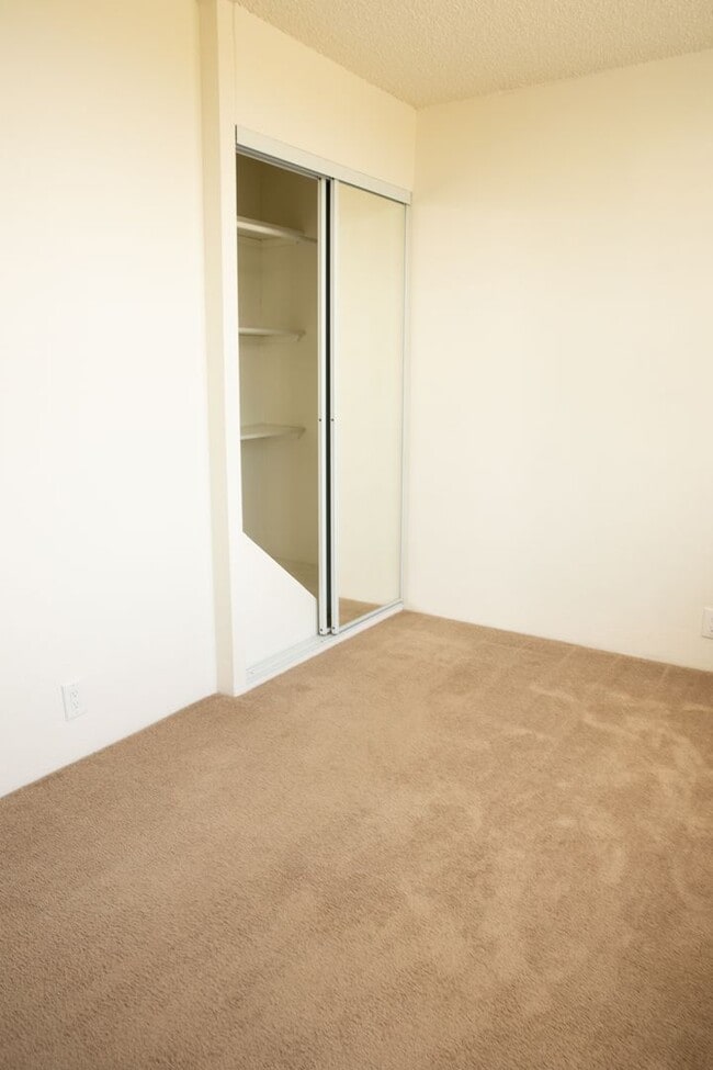 Building Photo - 2 BR/ 1 Bath Low- rise Apartment