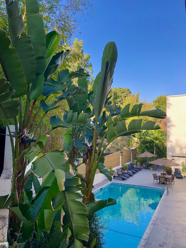 1230 Horn Ave Unit 519, West Hollywood, CA 90069 Condo for Rent in