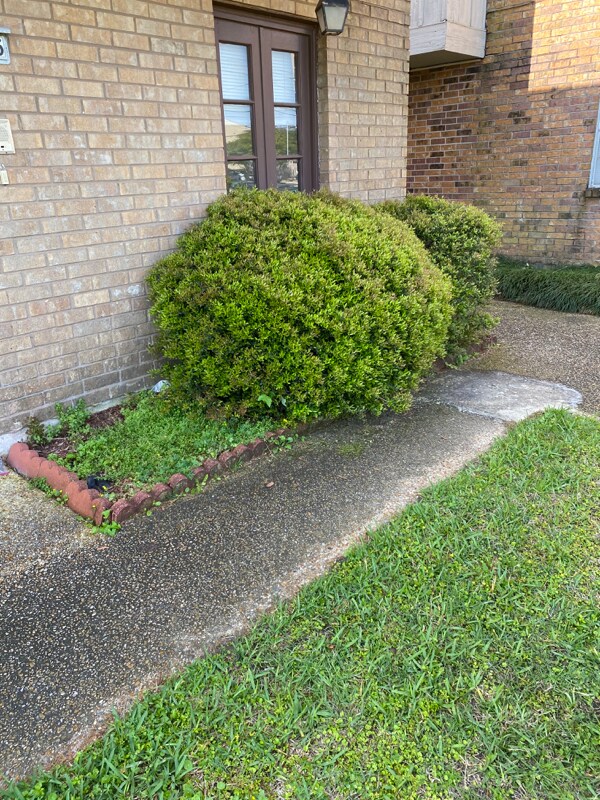 Foto del edificio - 4624 Fairfield St