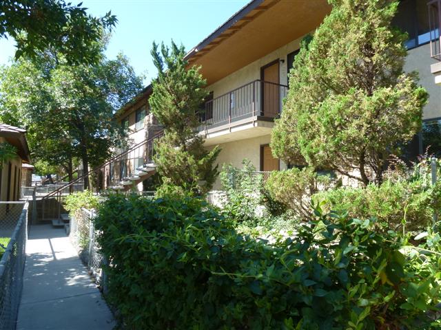 Primary Photo - Wild Flower Apartments
