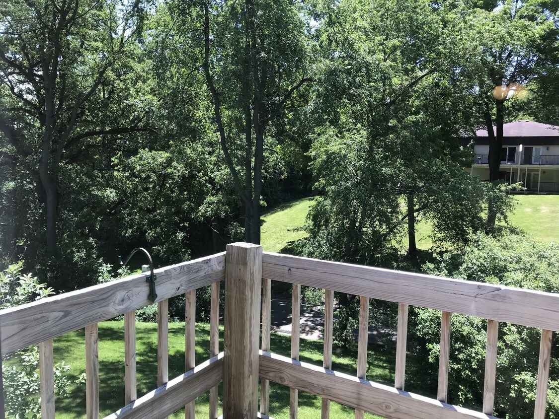 View from the deck - 524 Breezy Point Dr