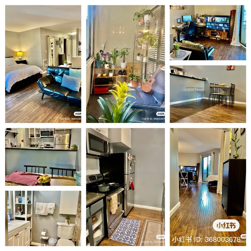 1551 Southgate Ave Unit 109, Daly City, CA 94015 Condo for Rent in