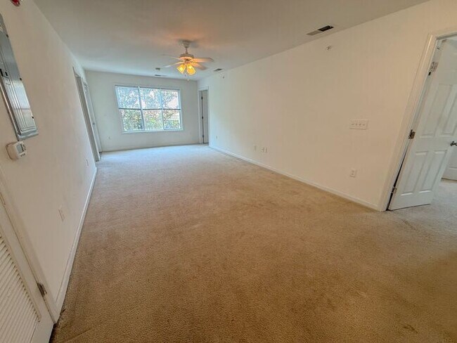 Building Photo - 4 Bed 4 Bath Condo with New carpet available now!!!