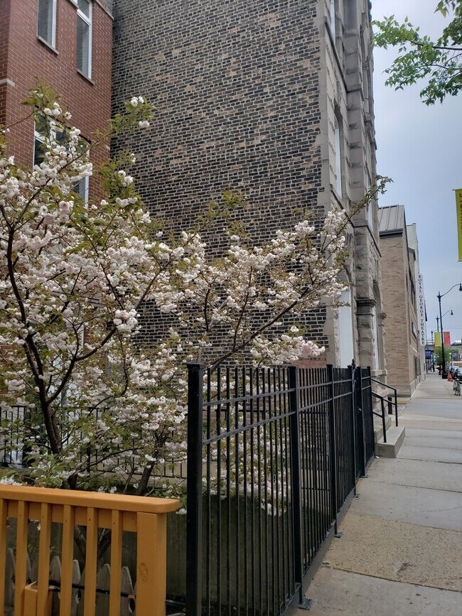 Foto del edificio - 1650 N Halsted St