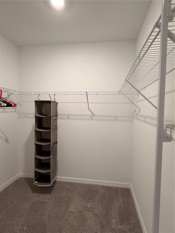 Building Photo - 3410 Ivy Hollow Dr