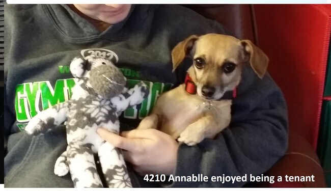 Annabelle loved it! - 4210 4th Ave NE