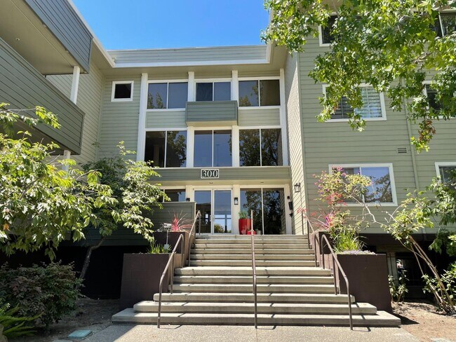 Building Photo - 300 Murchison Dr