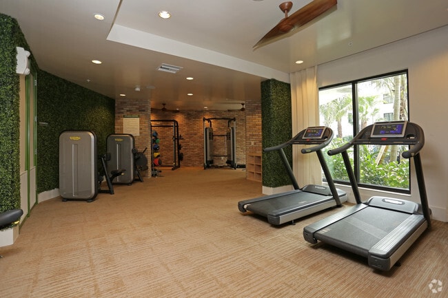 Gimnasio - ZZZBell Lighthouse Point