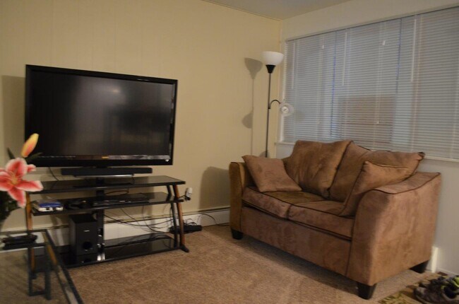 Living Room - 117 Allen Dr