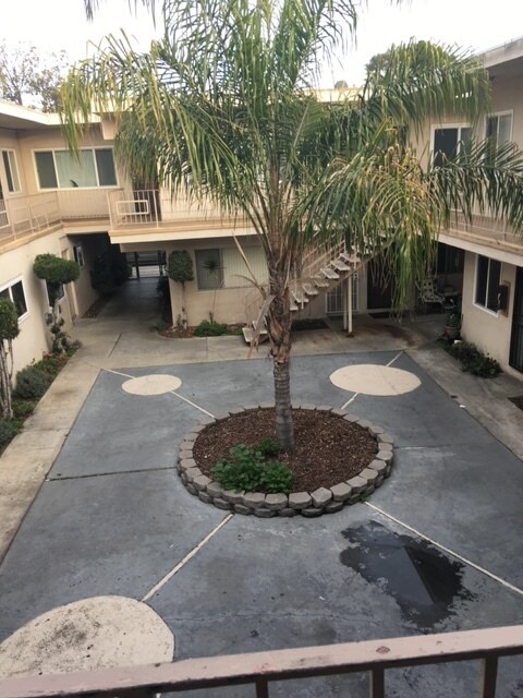 Large Courtyard - 1905 S Oxford Ave