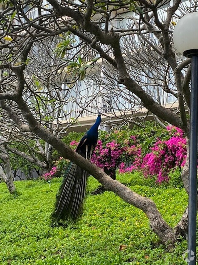 Apartments For Rent in Iroquois Point HI 1,578 Rentals Page 17