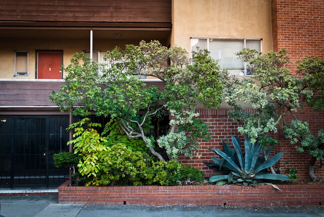 Building Photo - 2501 Benvenue Ave