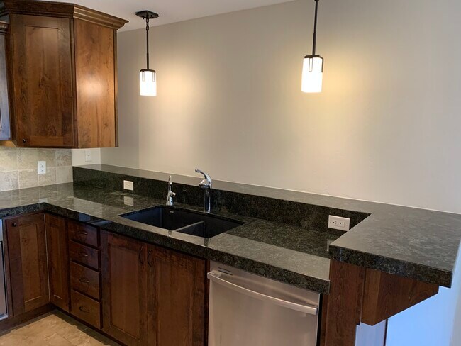 Kitchen (Dual Sink, Dishwasher) - 11093 S Hampton Way