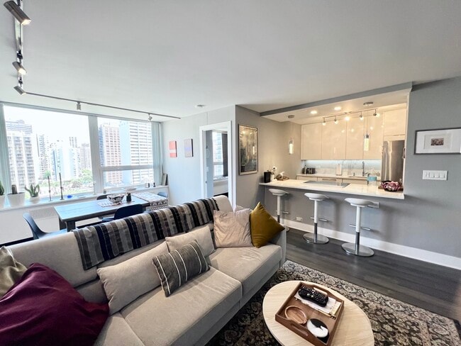 Foto del edificio - 1455 N Sandburg Terrace