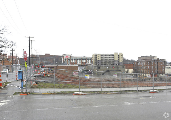 Building Photo - The Standard at Knoxville