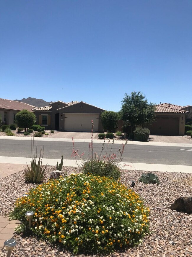 Foto del edificio - Beautiful 4 br/2ba Home in Adora Trails Neighborhood Gilbert AZ Available in July!