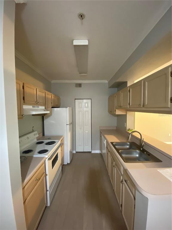 5616 Pinnacle Heights Cir Unit 305, Tampa, FL 33624 Condo for Rent in