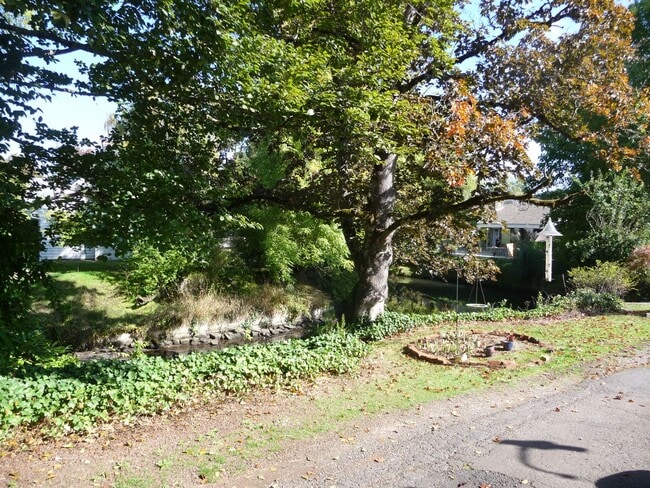 Building Photo - Unique 1920's home close to Capital Park a...