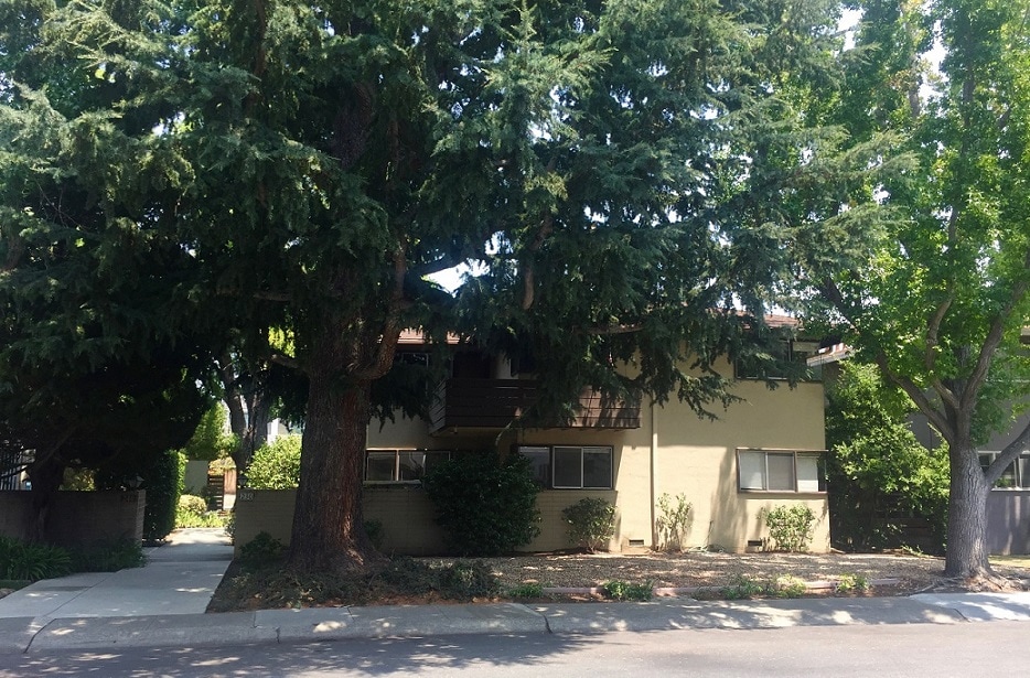 Garden Apartment - 230 Waverley St
