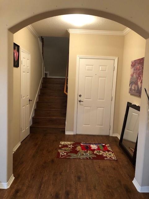Foto del edificio - 908 Sterling Creek Cir