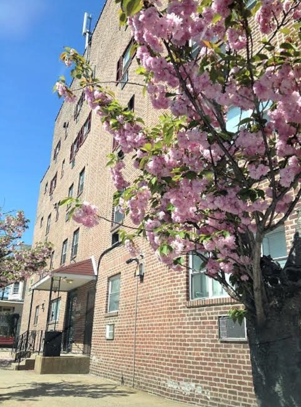 Foto del edificio - 7210 Oxford Ave