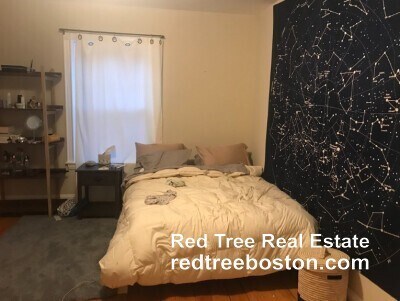 Foto del edificio - 17 Putnam Ave