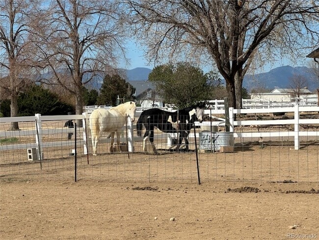 Building Photo - 14781 Clay St