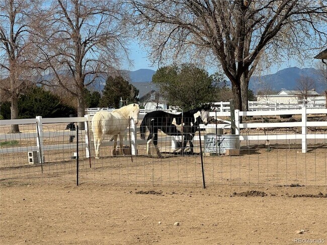 Foto del edificio - 14781 Clay St