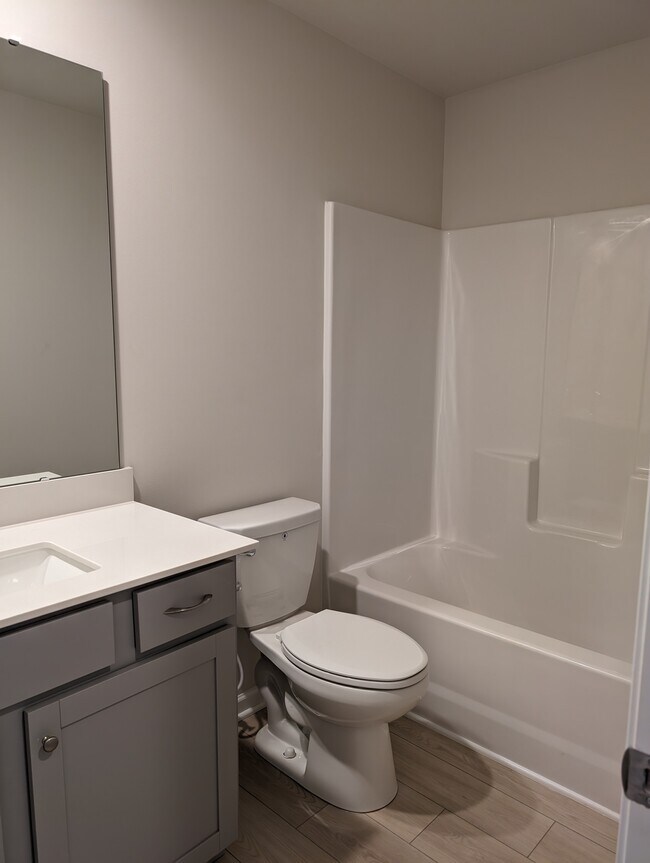 Hall bath - 568 Brasstown Ct