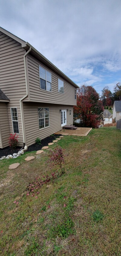 Yard - 241 Hillside Ln