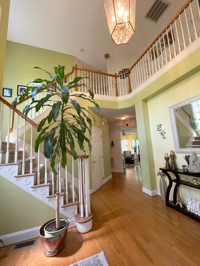 Entry way - 4210 Shoal Creek Dr