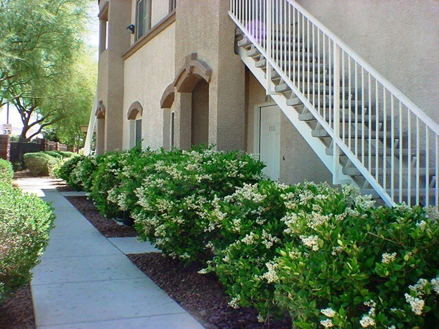 Primary Photo - 3400 Cabana Dr