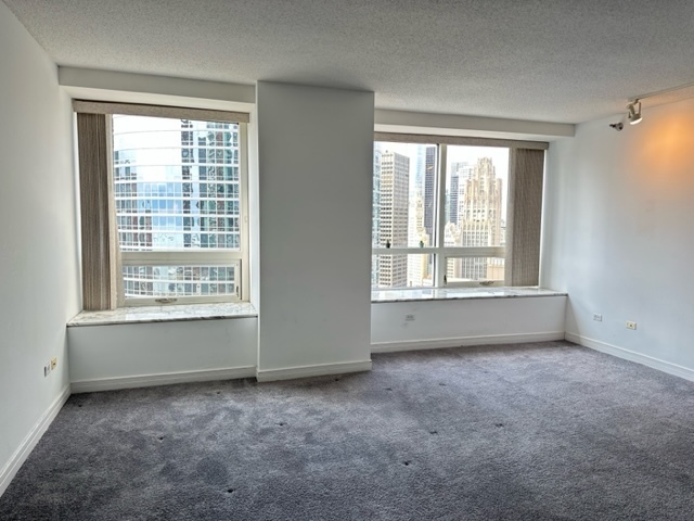 Foto del edificio - 512 N McClurg Ct