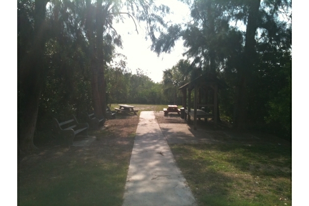 Bayou Courtyard - Seminole Vista