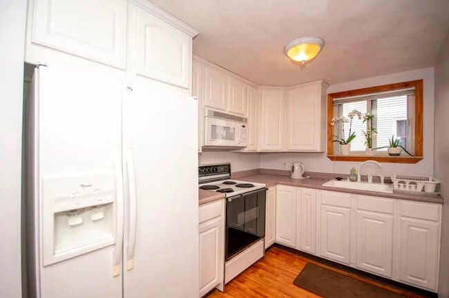 Building Photo - 243 Princeton St