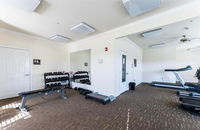 Building Photo - 1241 Strassner Dr
