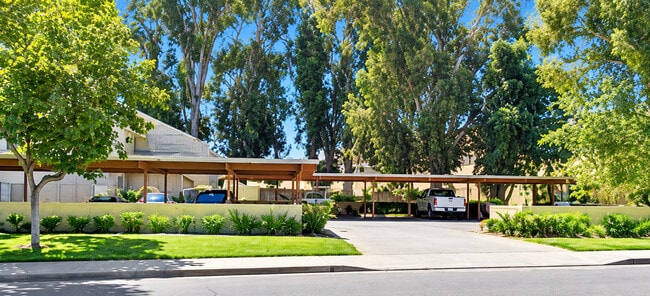Building Photo - Delta Cove Apartments