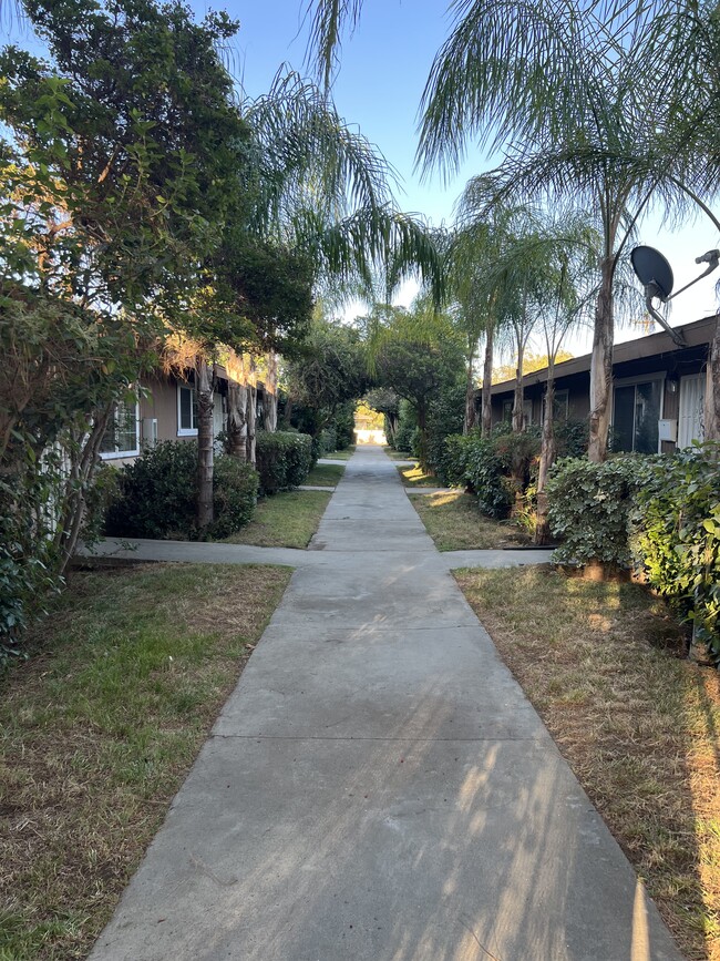 Tree lined main walkway - 224 Sequoia Dr