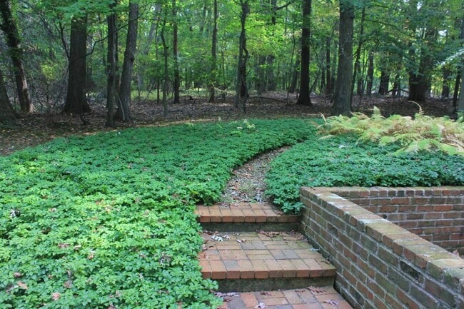 Photo - 734 Trephanny Ln House