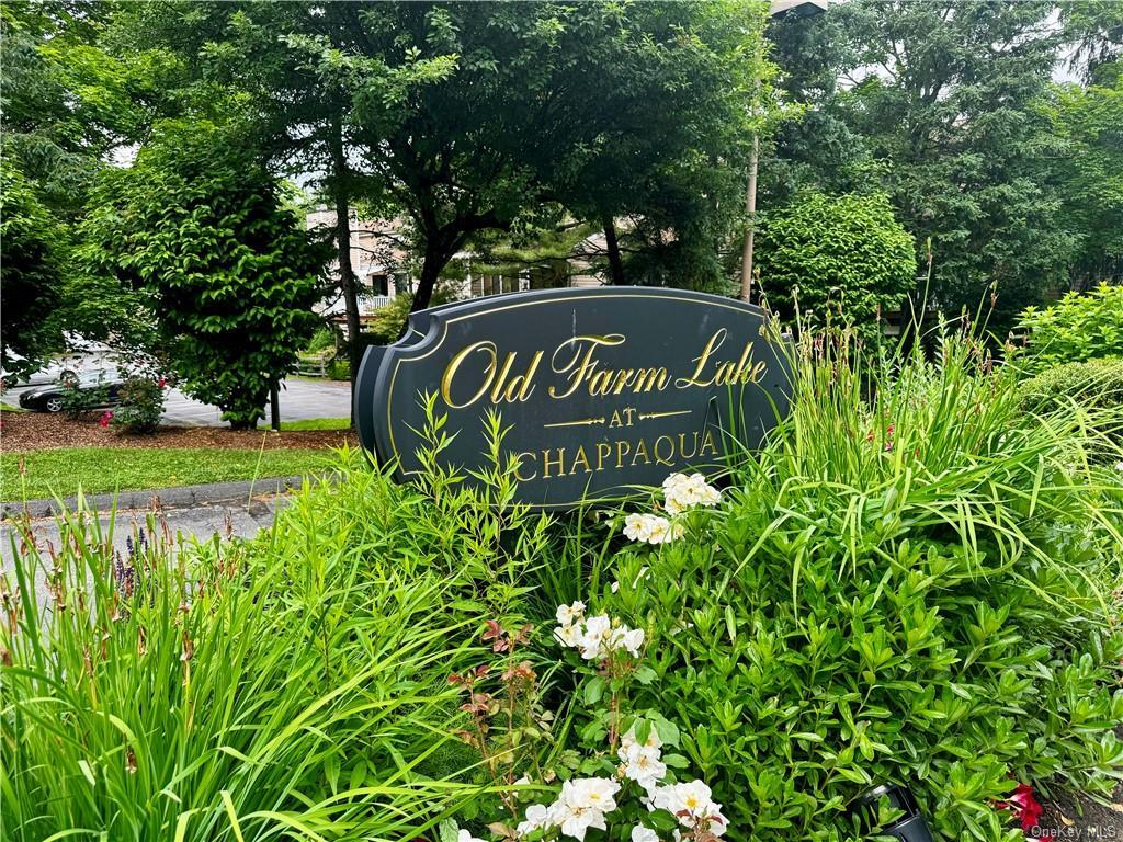 Foto principal - 17 Rambling Brook Rd