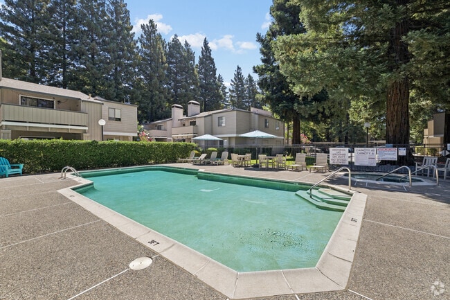 Pool Area - Avondale Apartments